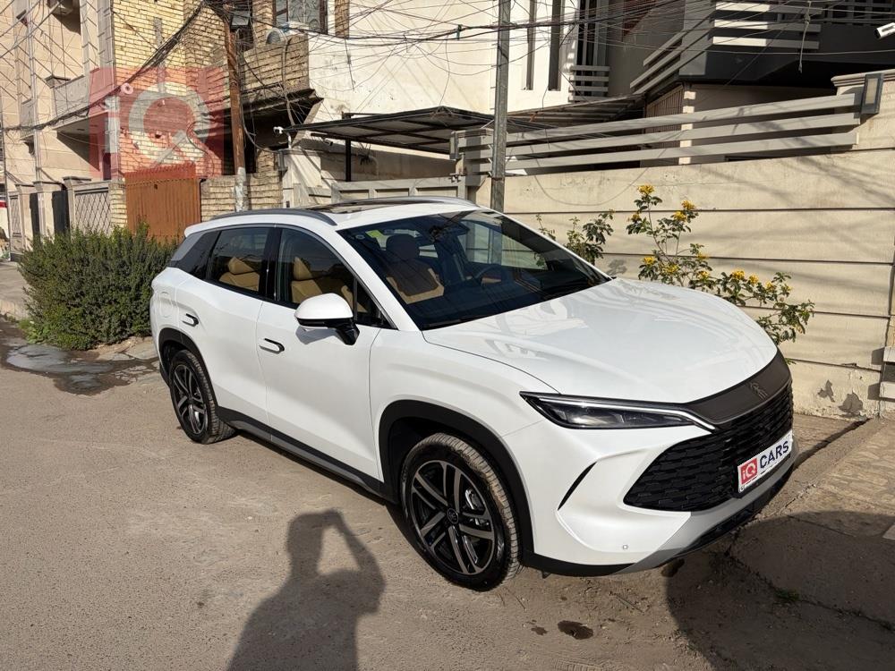 بي واي دي سونغ L DM-i